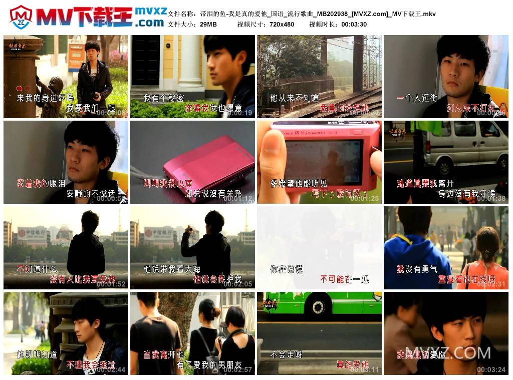 带泪的鱼-我是真的爱他_国语_流行歌曲_MB202938